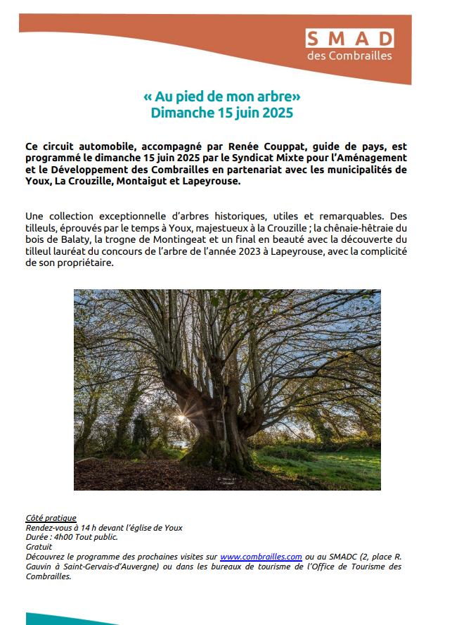 aupieddemonarbre_150625.jpeg